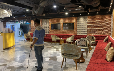 Dịch vụ diệt mối tại Long Xuyên