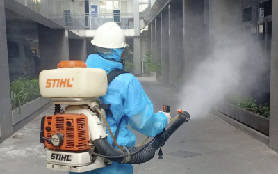 Dịch vụ diệt mối tại Ninh Hòa