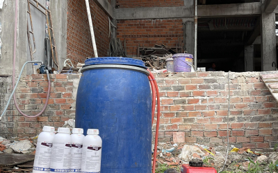 Dịch vụ diệt mối tại Thuận Nam