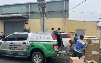 Dịch vụ diệt mối tại Quận 1