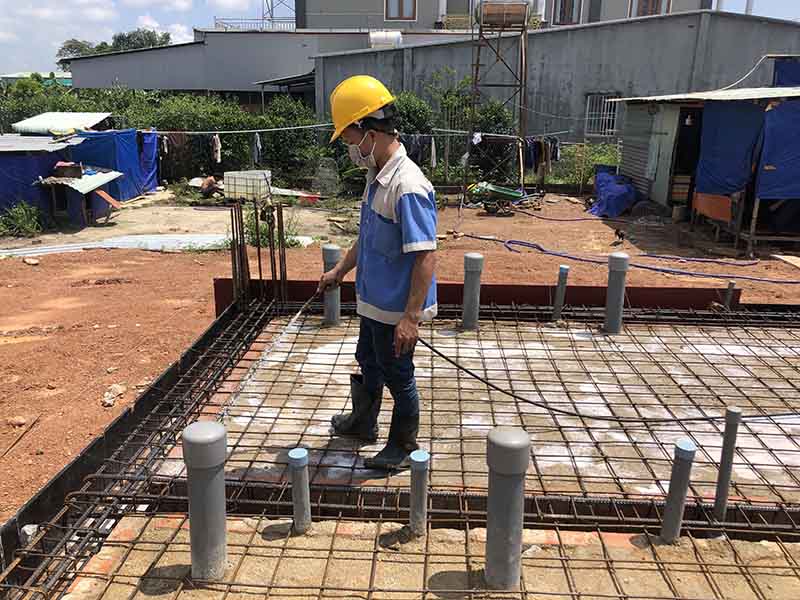 Dịch vụ diệt mối tại Dĩ An tận gốc