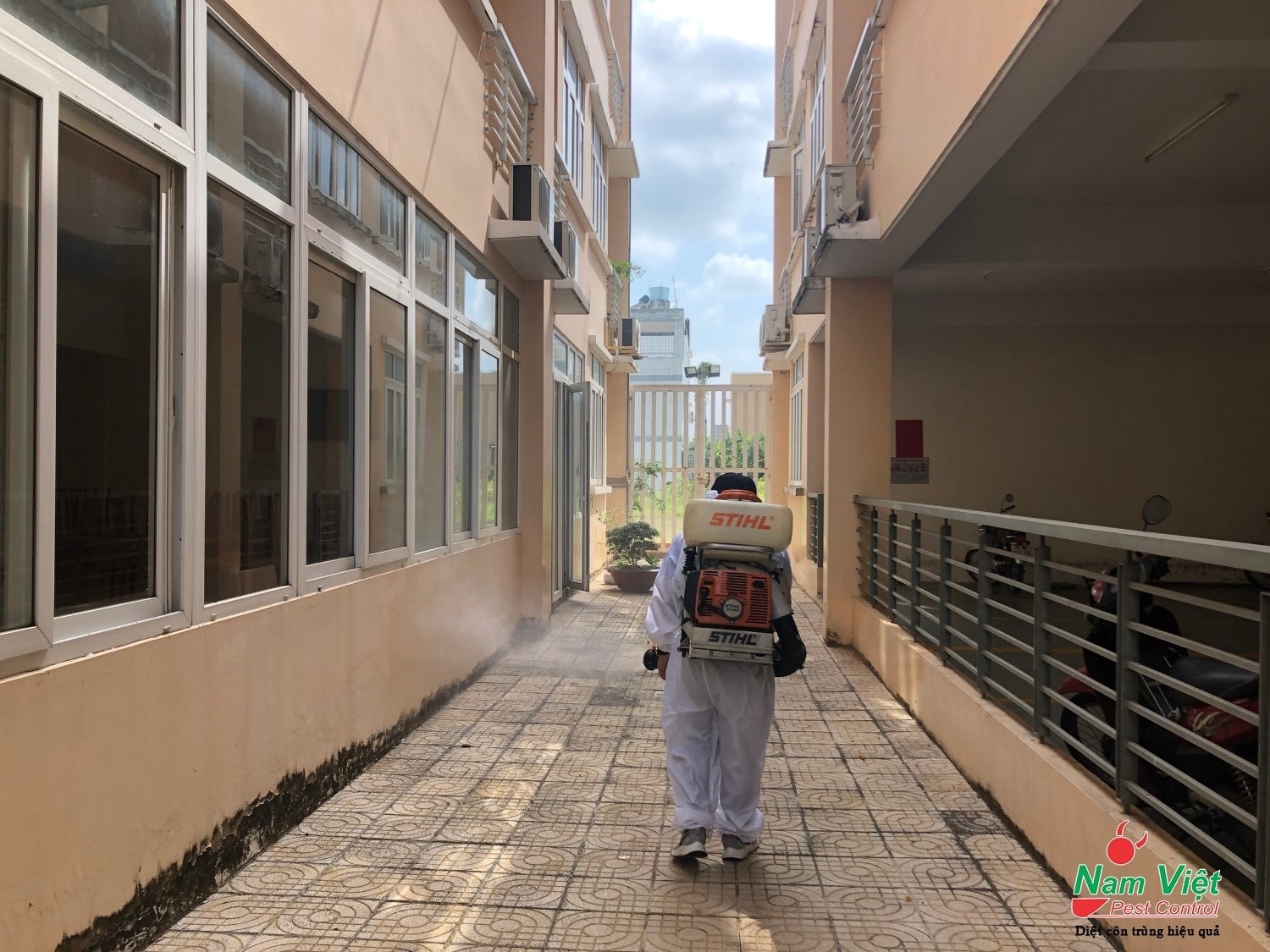 Dịch vụ diệt mối tại Gò Vấp tận gốc