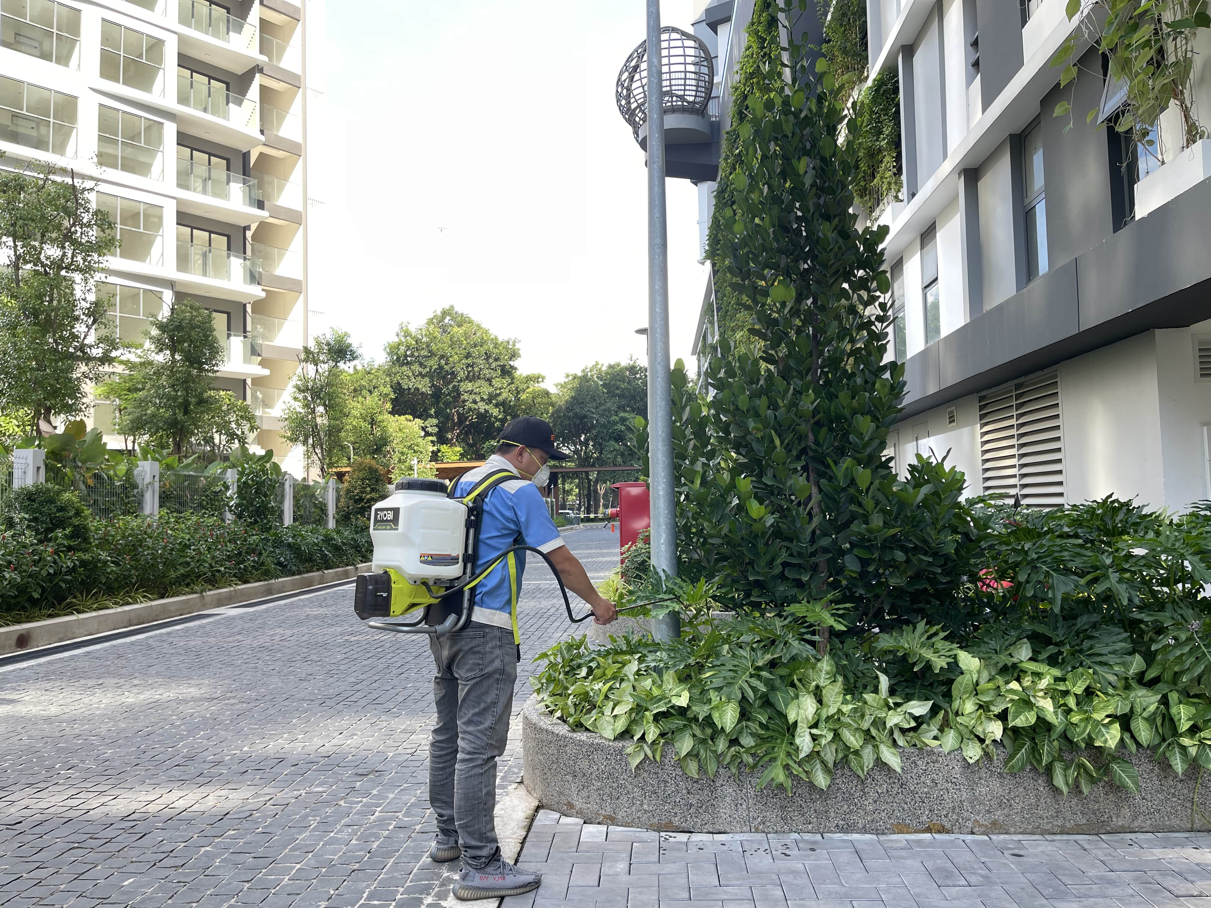 Diệt mối tại Quận Phú Nhuận uy tín