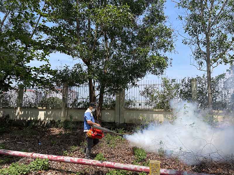 Quy trình diệt mối tại quận Tân Bình
