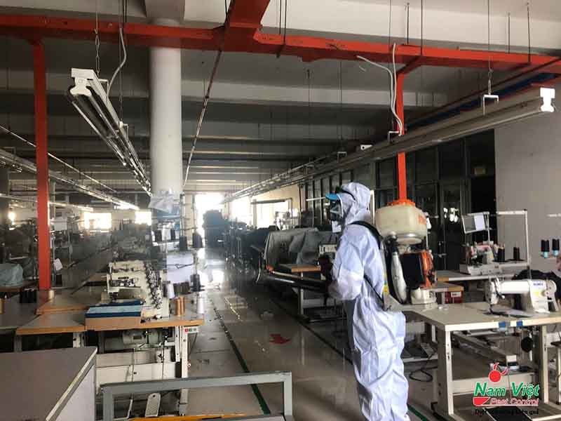 Cam kết dịch vụ diệt mối tại Quận 10 uy tín