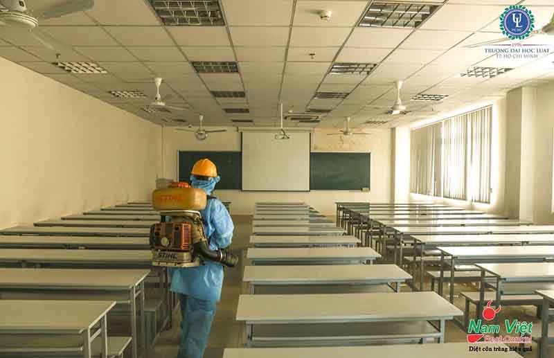 Quy trình diệt mối tại Quận 10