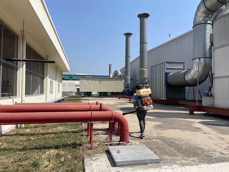 Quy trình diệt mối tại quận Quận 5 