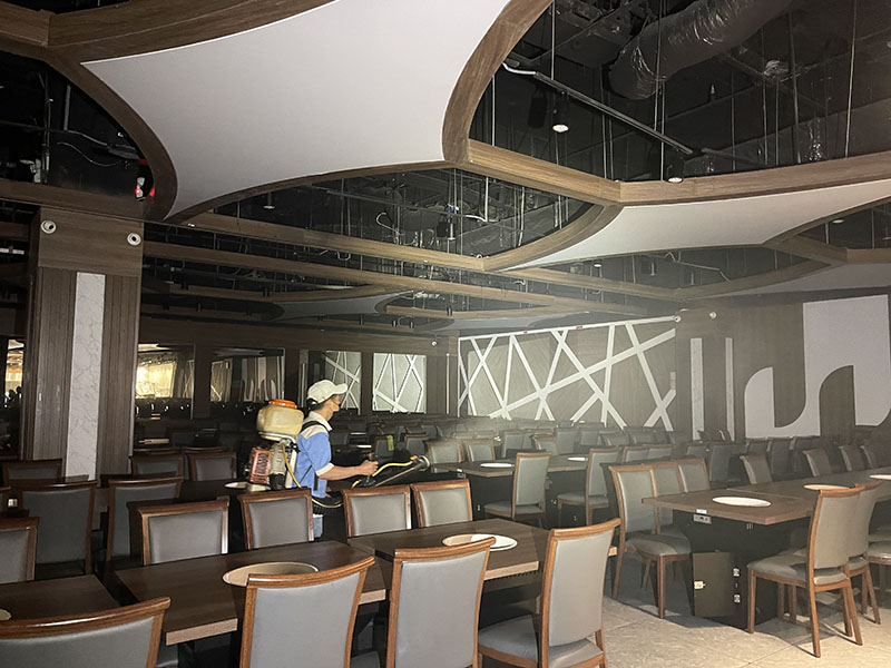 công ty diệt mối quận 3