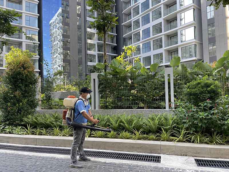 Dịch vụ diệt mối tại Quận 1 tận gốc