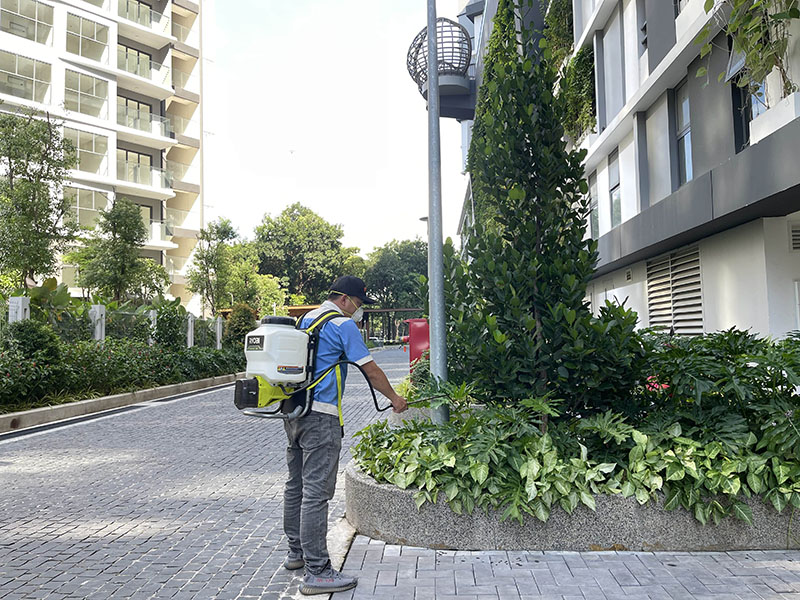 diệt mối nam việt