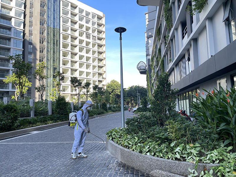 dịch vụ diệt mối tại quận 3