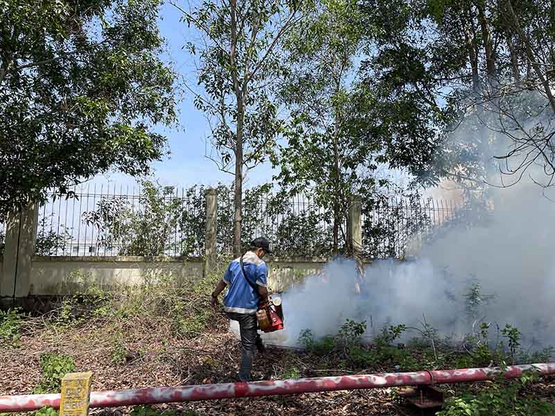 diệt mối tận gốc quận 1