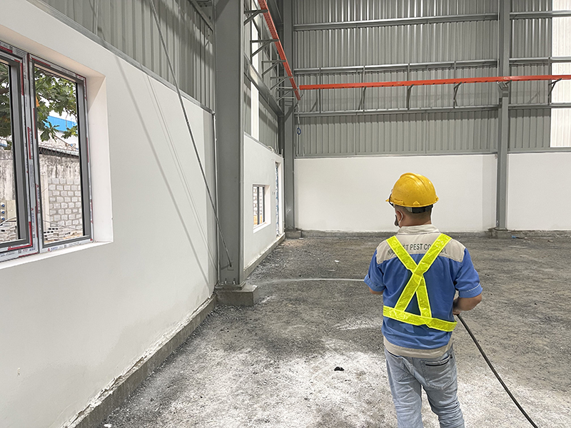 Kỹ thuật viên xử lý mối tại một công trình