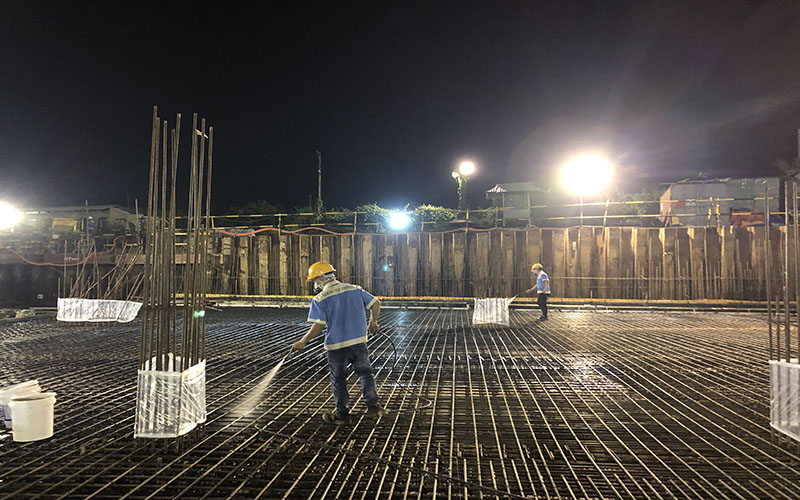 Lý do bạn nên chọn dịch vụ diệt mối uy tín, chất lượng tại Nam Việt