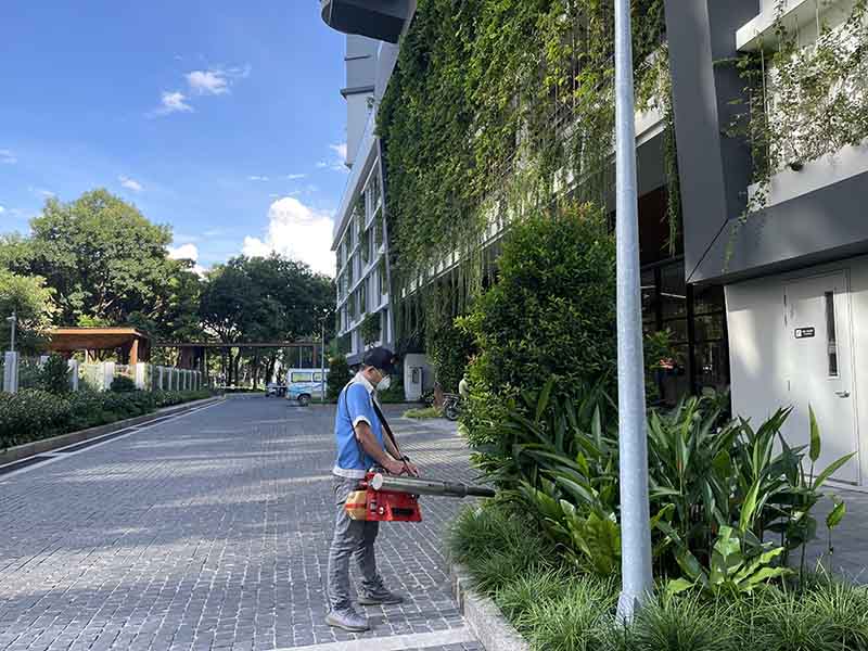 Quy trình diệt mối tại quận Quận 1